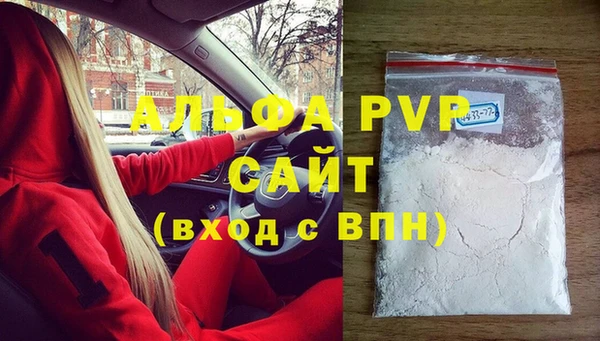 сатива Дмитровск