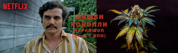 соль ск Инсар