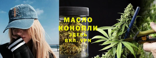 молекула духа Надым