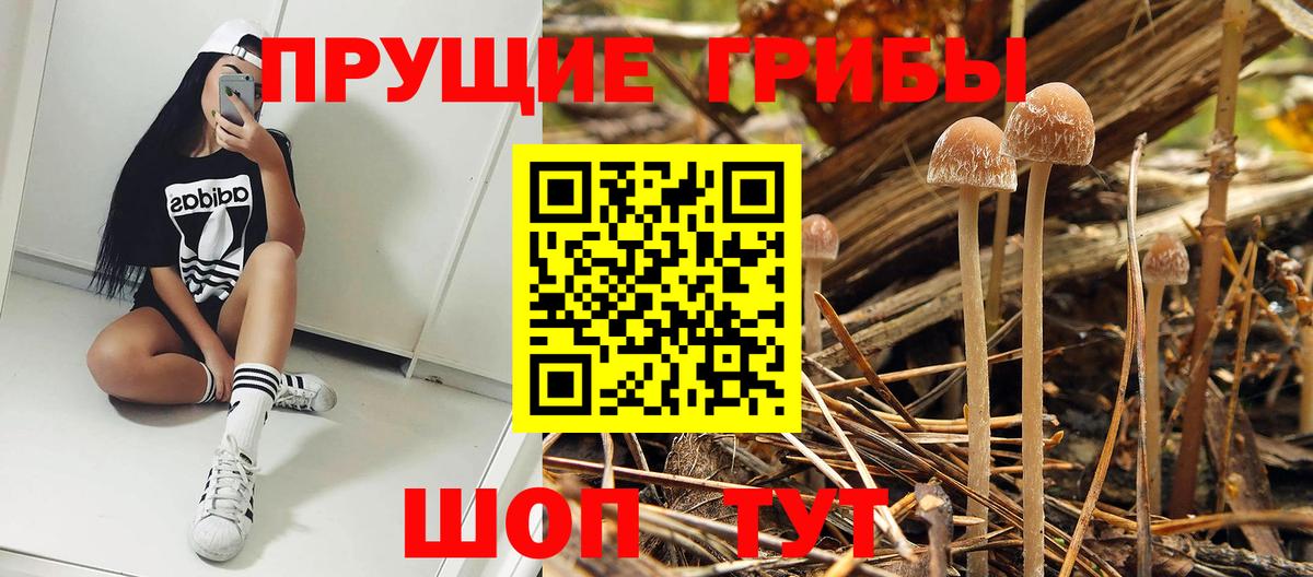 Псилоцибиновые грибы Magic Shrooms Петровск