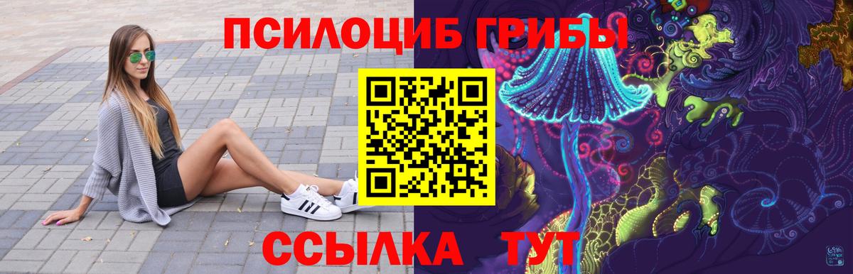 Петровск  Галлюциногенные грибы Cubensis  Вход с VPN  Галлюциногенные грибы прущие грибы 